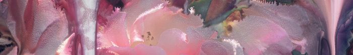 profile cover image