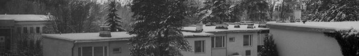 profile cover image
