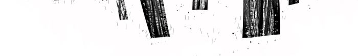 profile cover image
