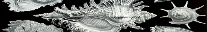profile cover image