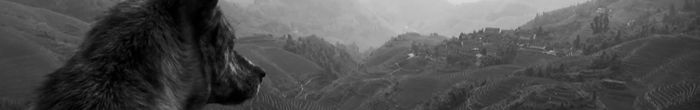 profile cover image