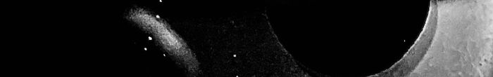 profile cover image