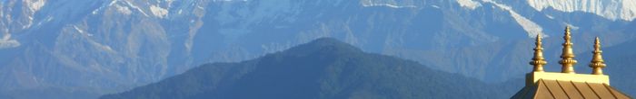 profile cover image