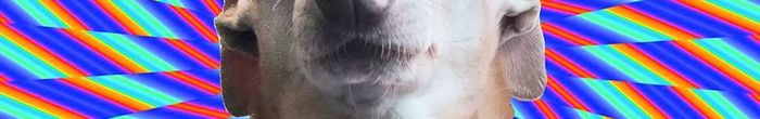 profile cover image