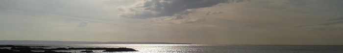 profile cover image
