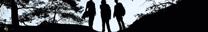 profile cover image