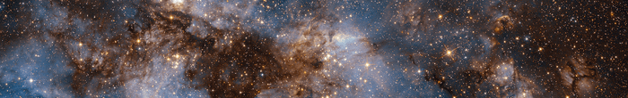 profile cover image