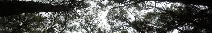 profile cover image