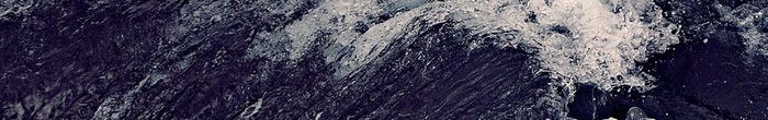 profile cover image