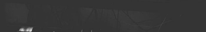 profile cover image