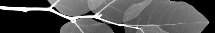 profile cover image