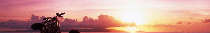 profile cover image