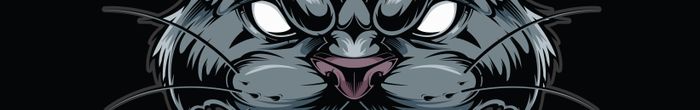 profile cover image