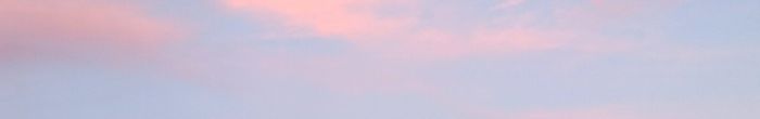 profile cover image