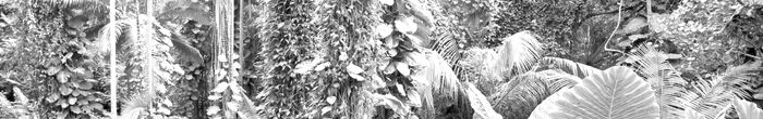 profile cover image
