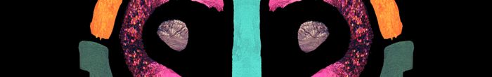 profile cover image