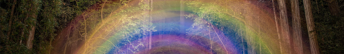 profile cover image