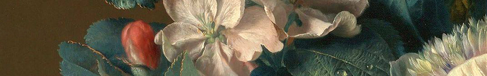 profile cover image