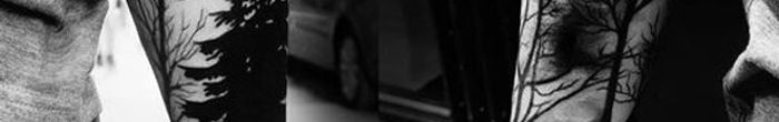 profile cover image