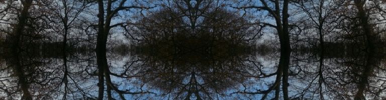 SuBCoN cover image