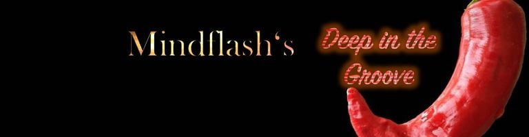 Mindflash cover image