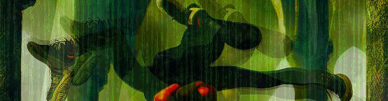 Pleomorphic / Pleobeatz cover image