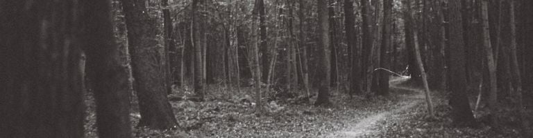 Eshyo cover image