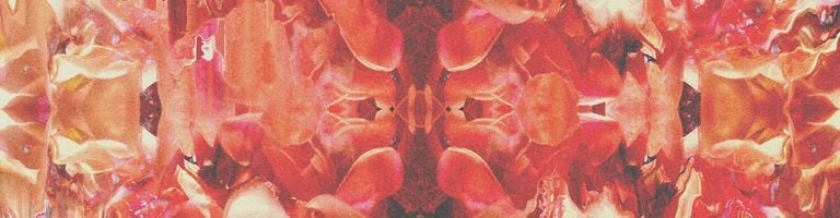 Catching Flies cover image