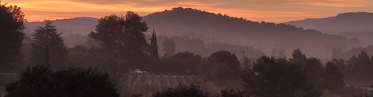 WorldWine FM cover image