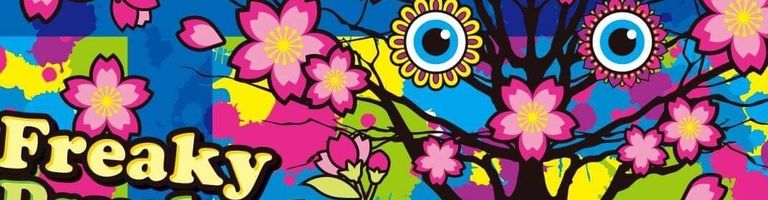 seiji animaminimal cover image