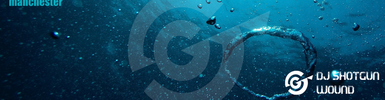 SGW UK cover image