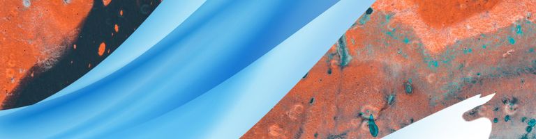 losp cover image