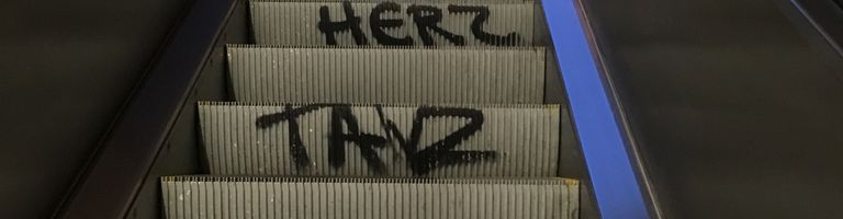nizzi cover image