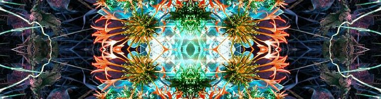 DJ Spektra cover image