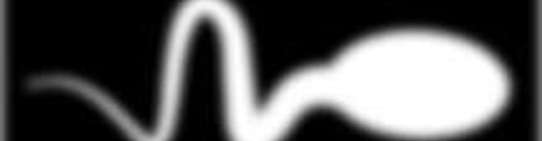 s p e r m c h a s e r cover image
