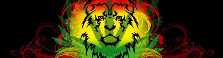 DNB MCR cover image