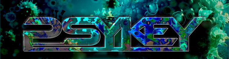PSYKEY cover image