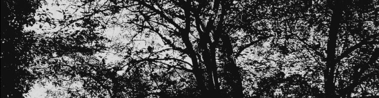 Bleak Cathedral cover image