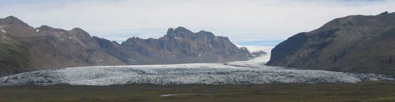 peterlevans cover image