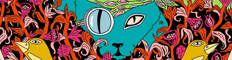 Julien Minet cover image