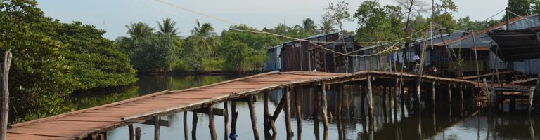 tamlyn cover image