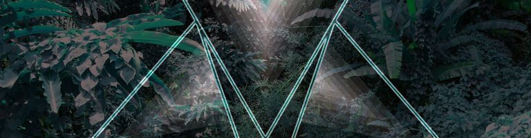 Tra-Fx - Bedian cover image