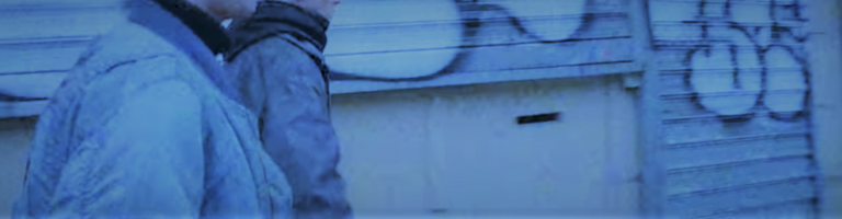 sal cover image