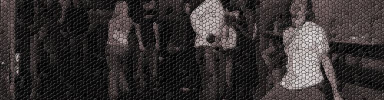 ZapRecInc cover image