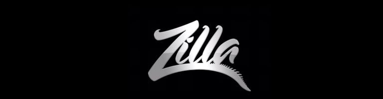 DJ Zilla cover image