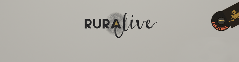 ruralive cover image