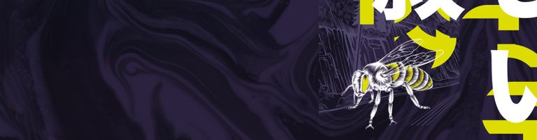 DeeBeeSessions cover image
