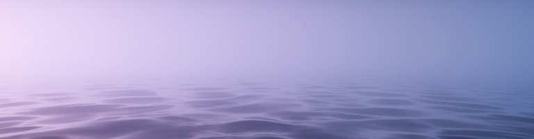 Dualesta cover image