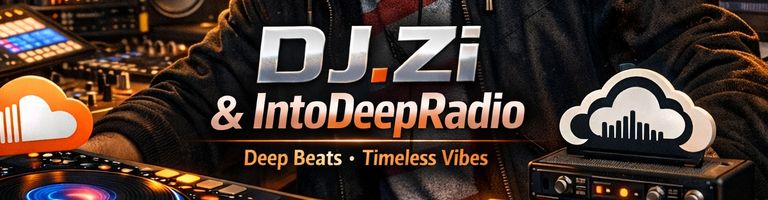 DJ.ZI cover image
