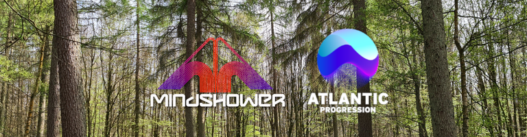 Mindshower cover image